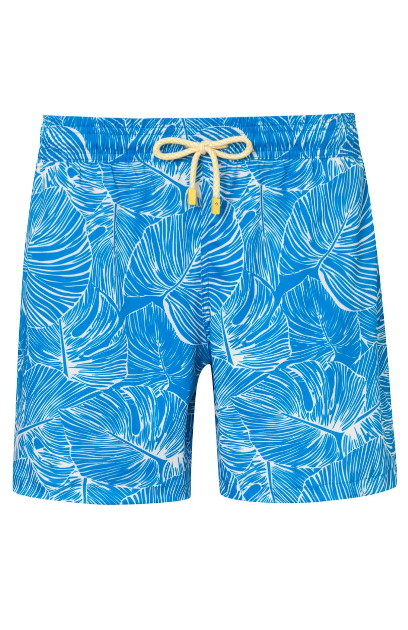 Iguana Swim Shorts Mens