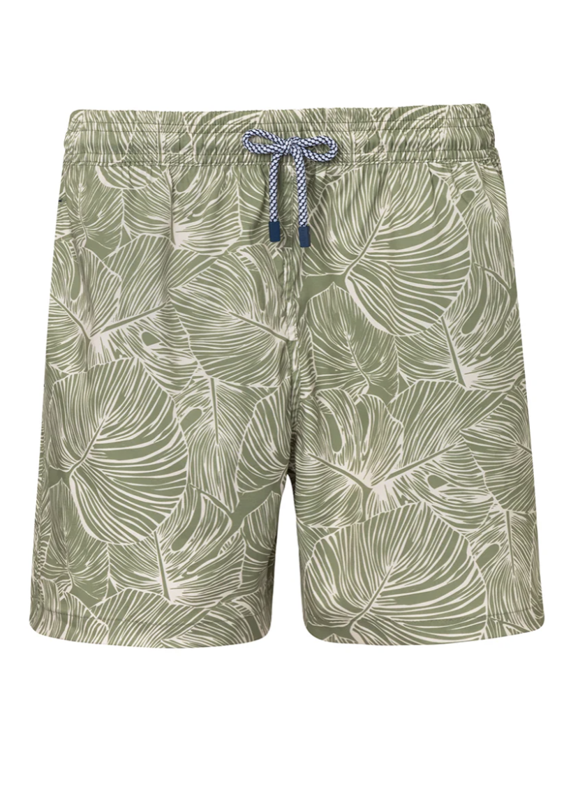 Iguana Swim Shorts Mens